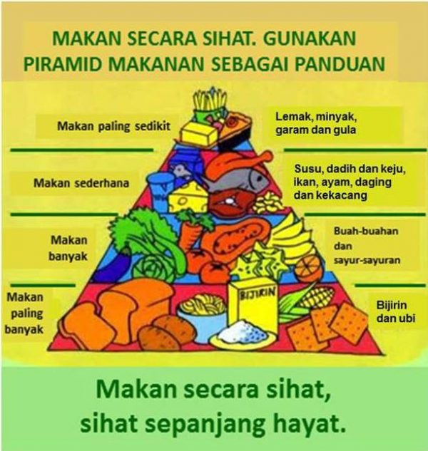 Piramid Makanan - Sumber Pendidikan