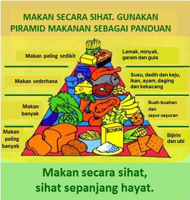 Piramid makanan - Sumber Pendidikan