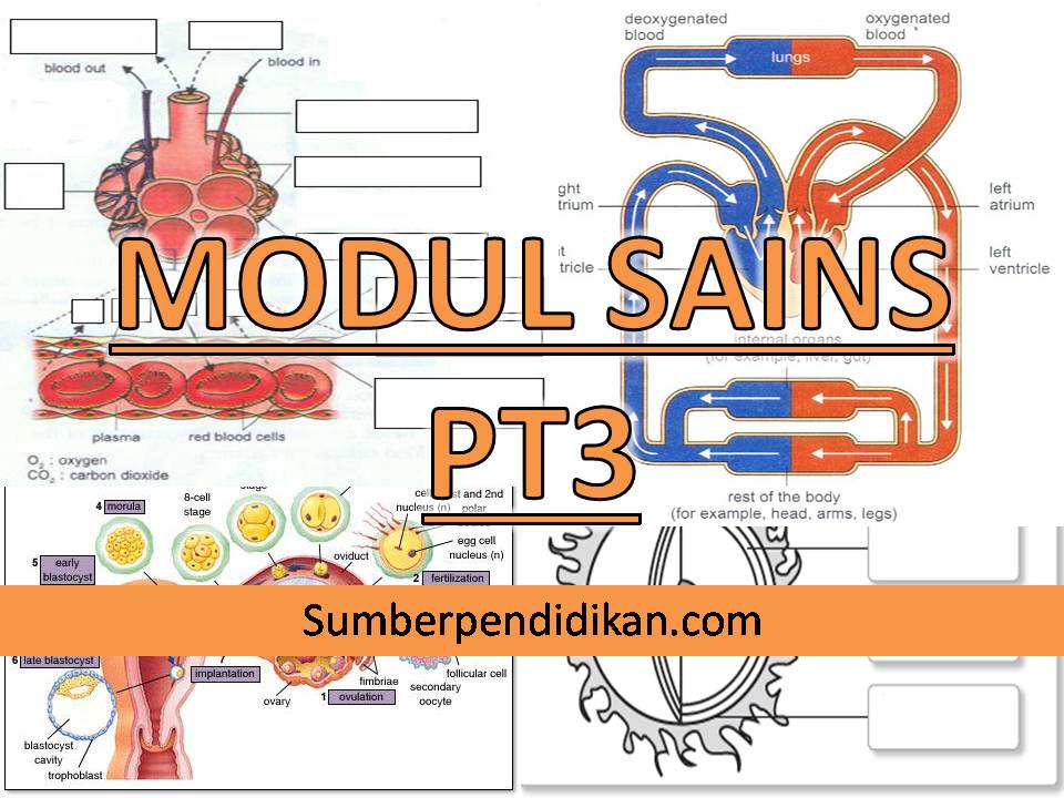 Modul Sains PT3 - Sumber Pendidikan