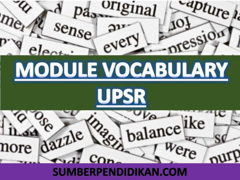 Module 1 vocabulary grammar