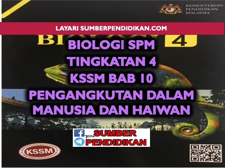 Nota Biologi Tingkatan 4 Bab 10 Sumber Pendidikan